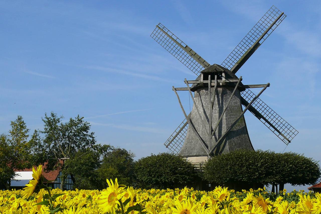 title windmühle destel